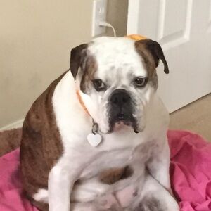 Meet your Posher, Terré